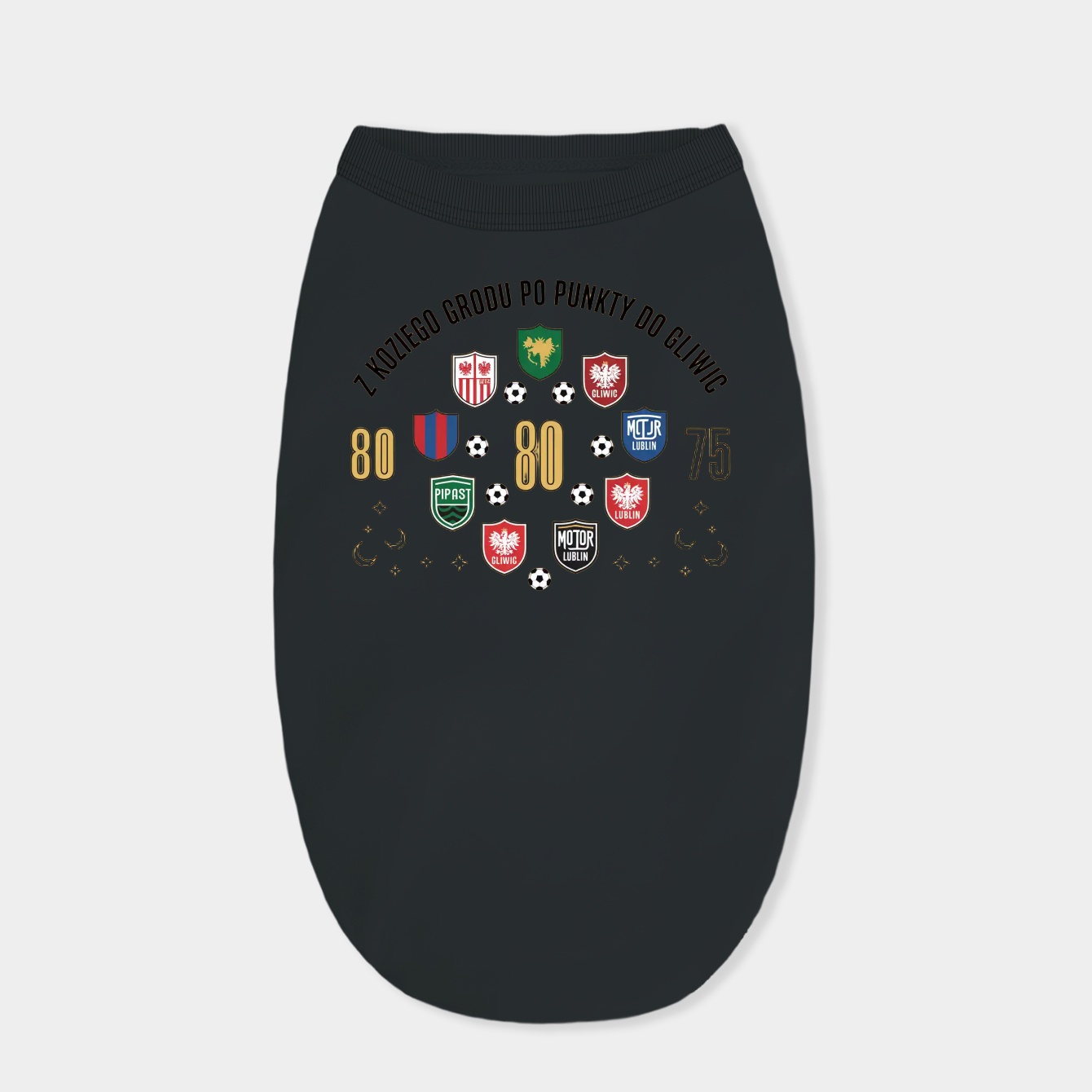 Piast Gliwice vs Motor Lublin Anniversary Dog Shirt