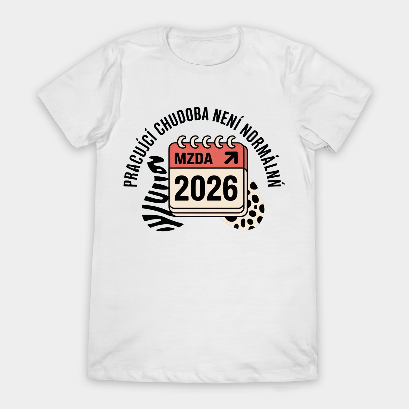 2026 Wage Rise Is Normal Women's T-Shirt
