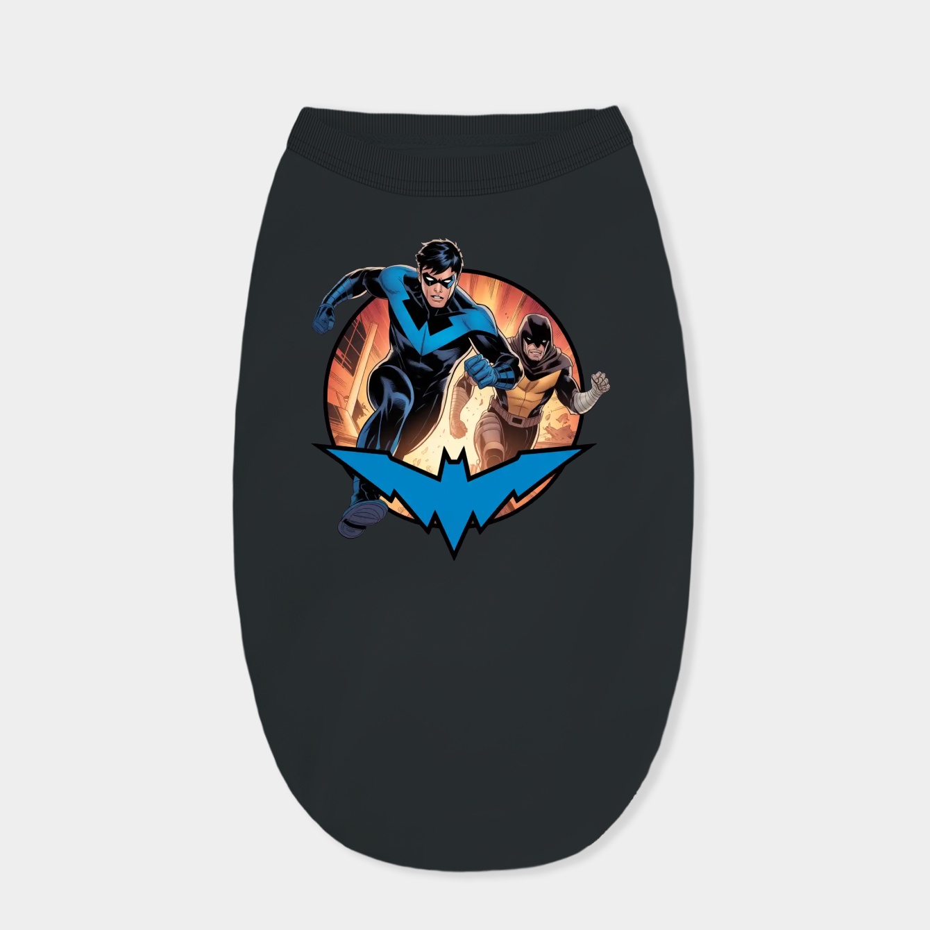 Batman Nightwing Raptor Girls Dog Shirt