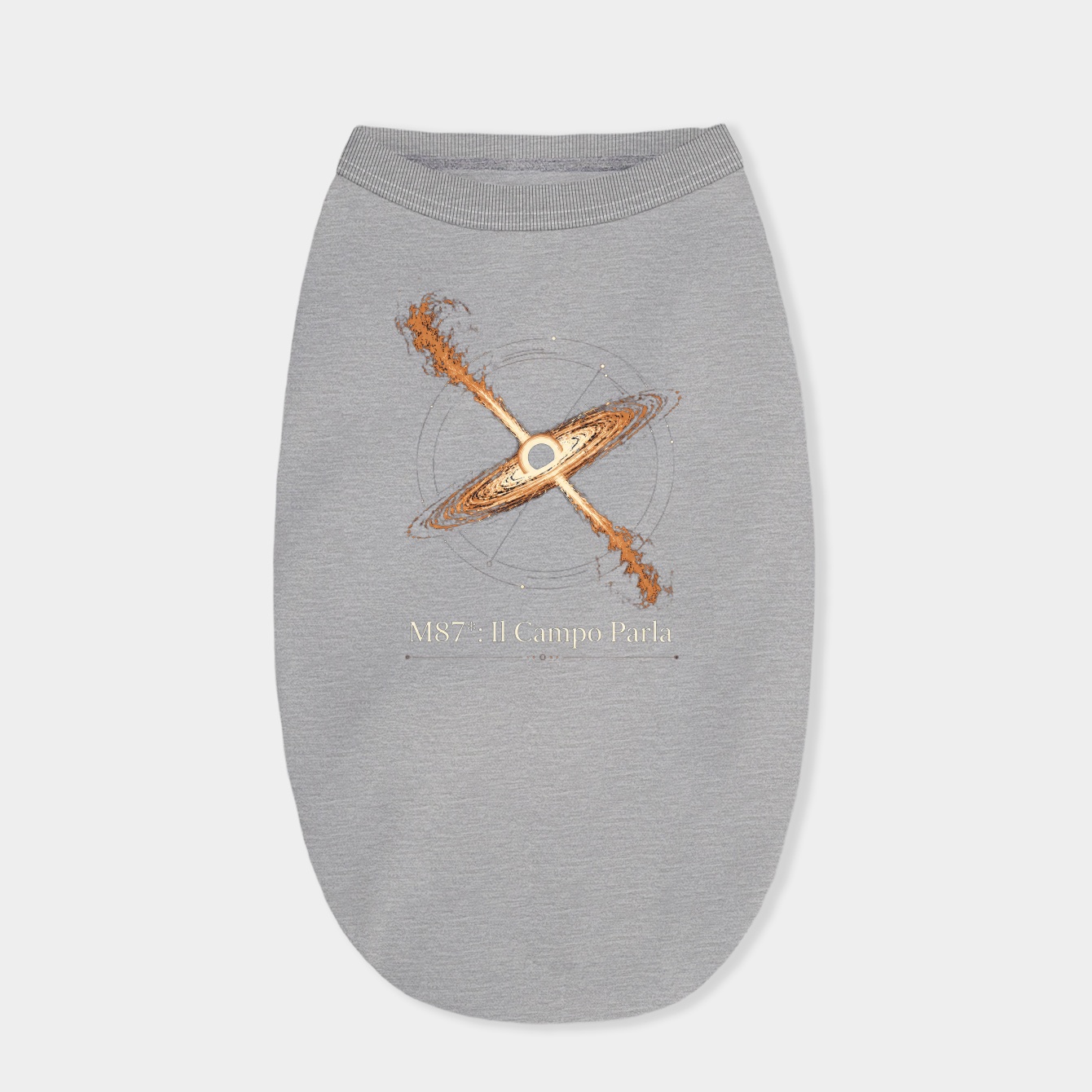 Astrophysics Jet Vector Dog Shirt