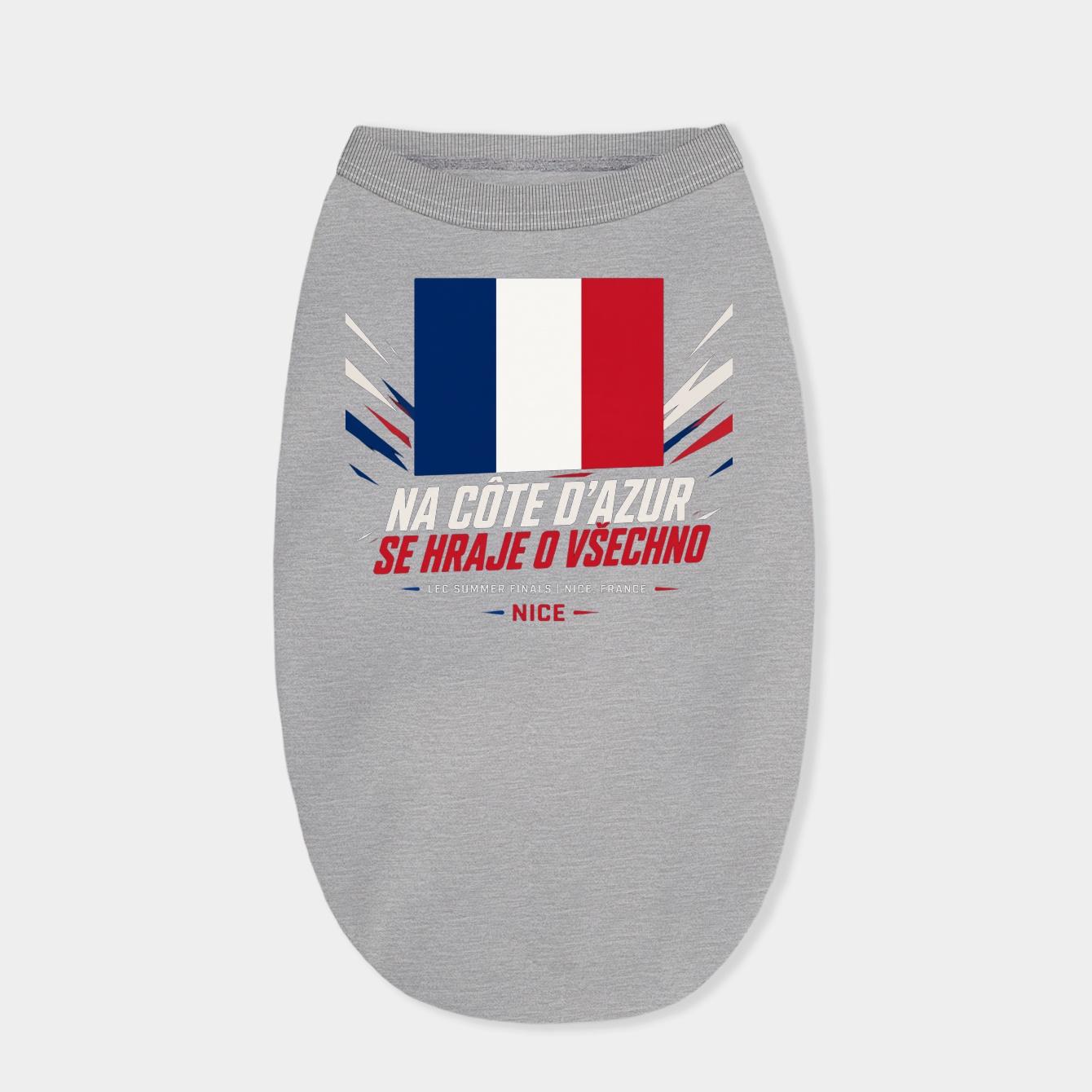 Victory in French Colors Dog Shirt