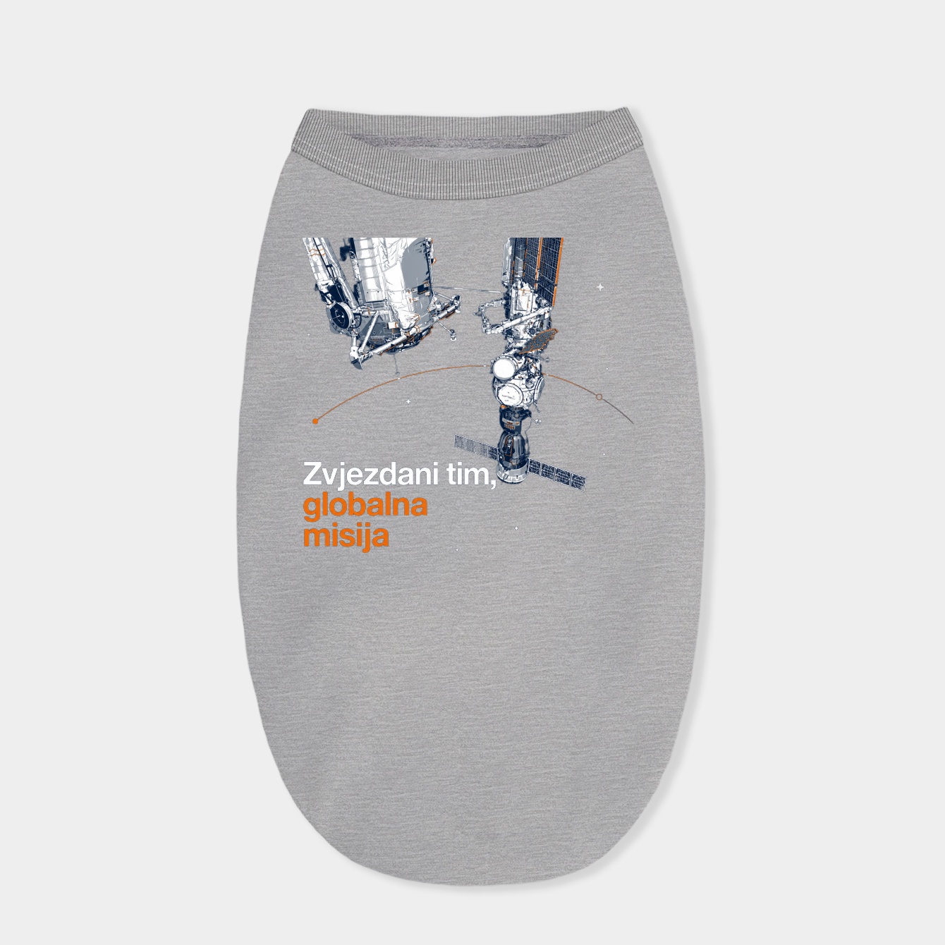 Poster Of The ISS Dog Shirt
